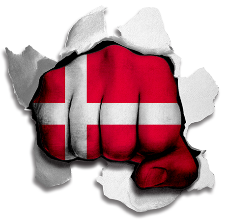 Fist Denmark Flag Logo vinyl decal